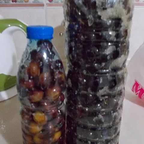 Siyah Zeytin Yapımı