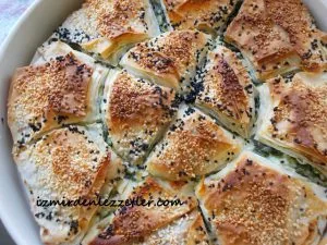 Ispanaklı Güneş Böreği