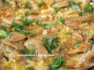 Yumurtalı Kayın Mantarı