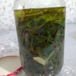 Kaya Koruğu Turşusu