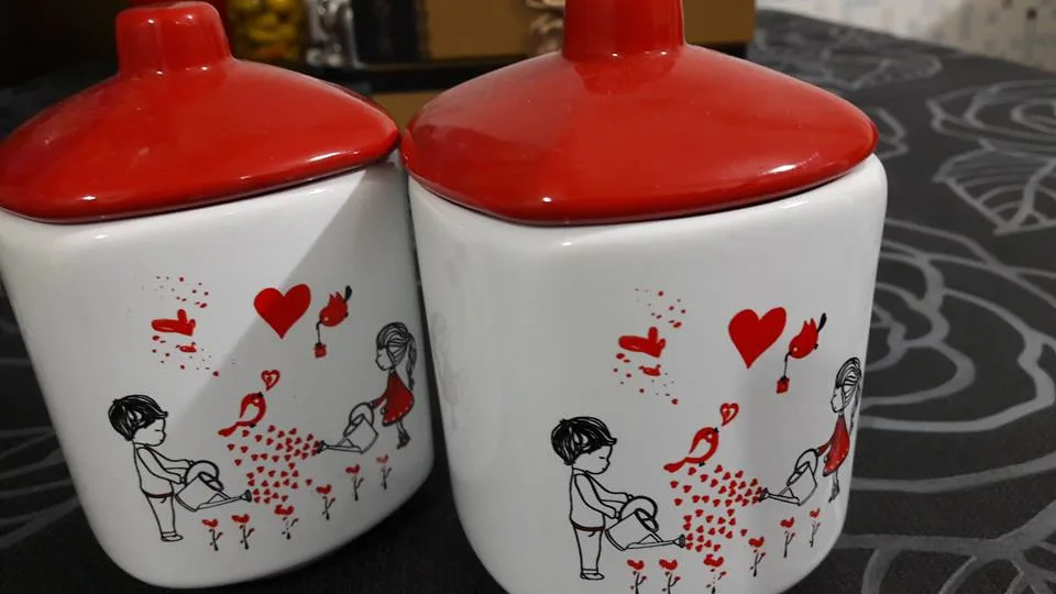 15713160_1406521522694061_2029524830_n