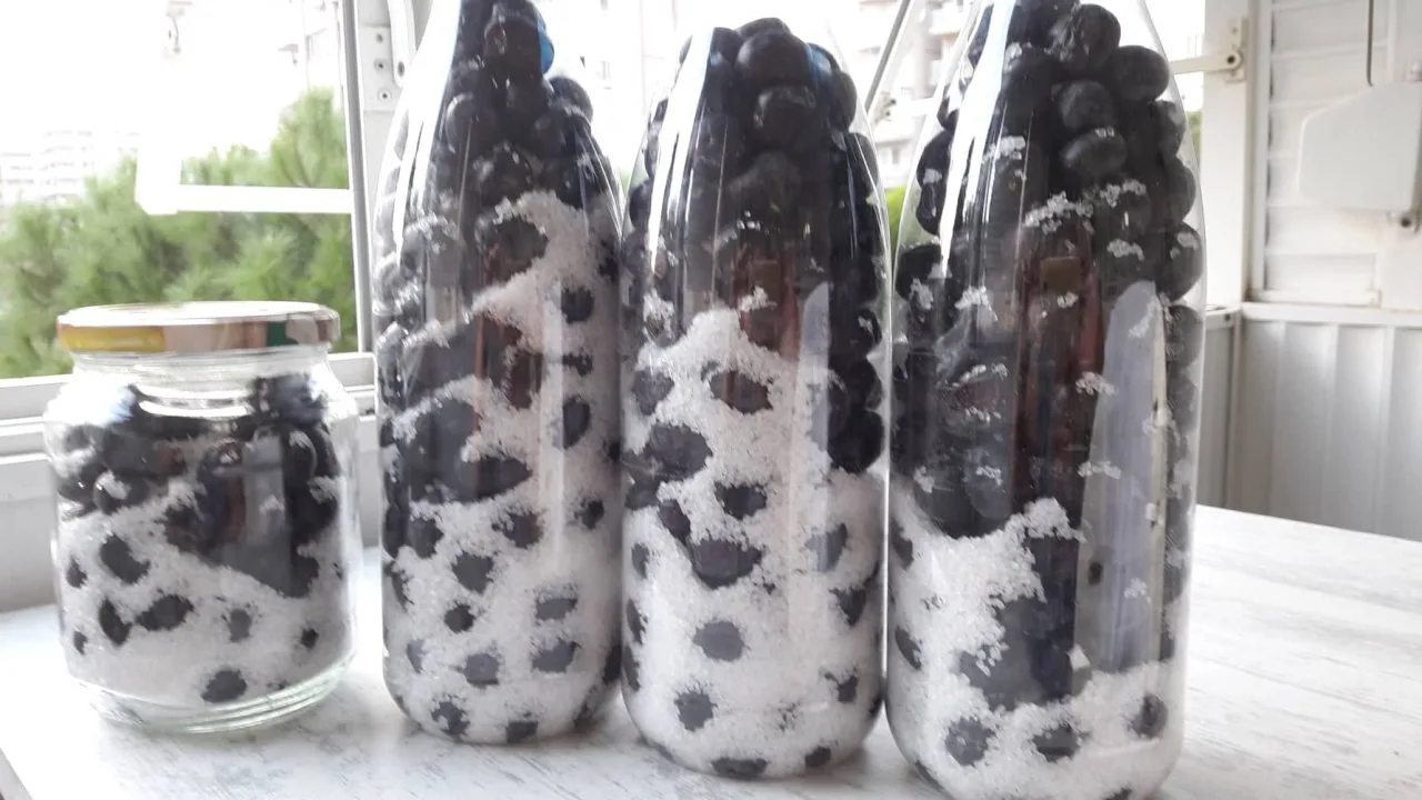Sele Zeytin Yapımı (Pet Şişede)