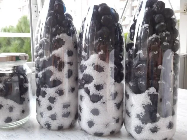 Sele Zeytin Yapımı (Pet Şişede)